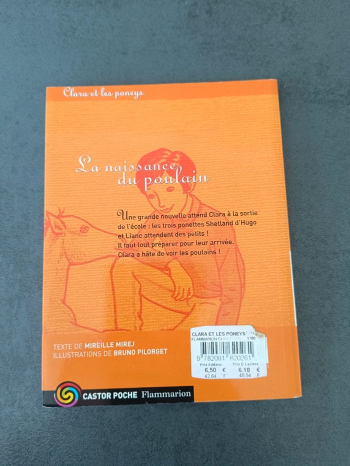 Clara et les poneys : la naissance du poulain - photo numéro 3