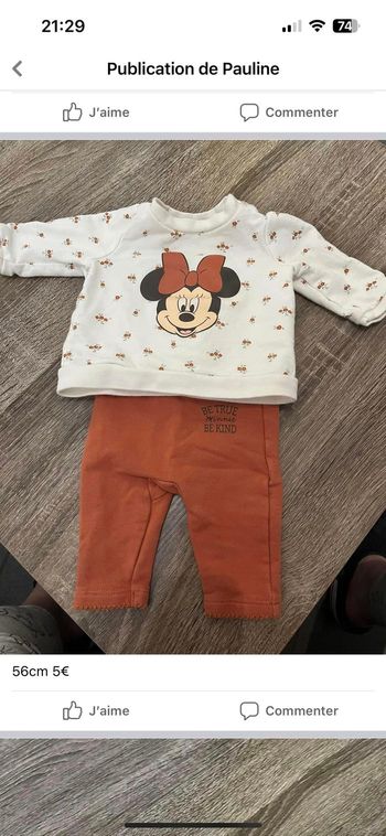 Ensemble minnie