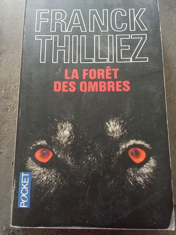 Franck thilliez la forêt des ombres 