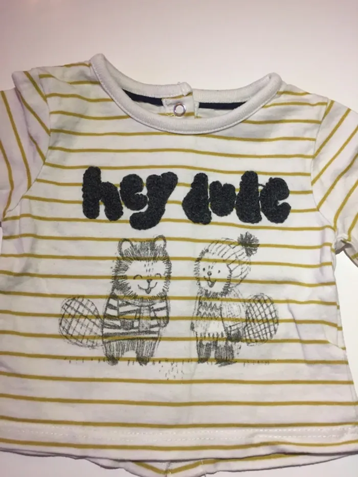 Lot Tee-shirts coton bio 1 mois - photo numéro 2