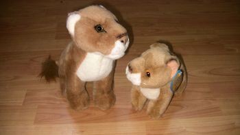 Peluches Lionnne et lionceau duo