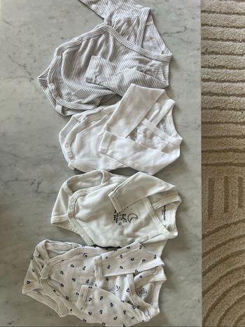 Lot 4 bodies