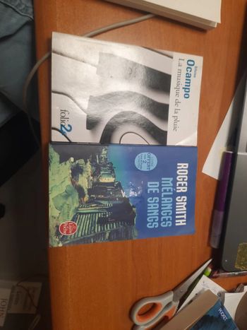 Lot 2 livres folio de poche