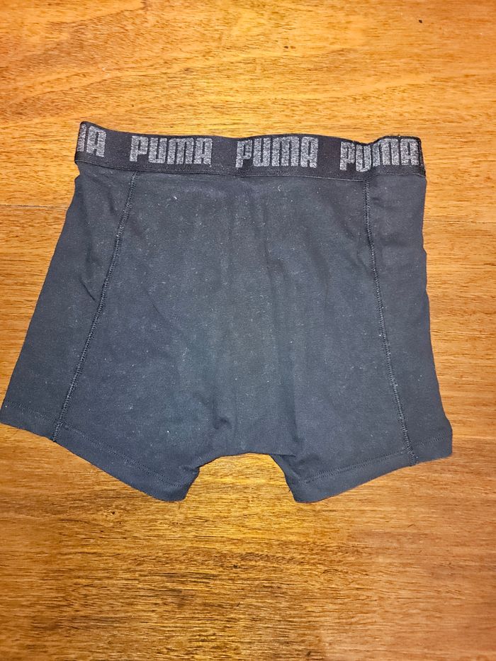 4 Boxer puma - photo numéro 8