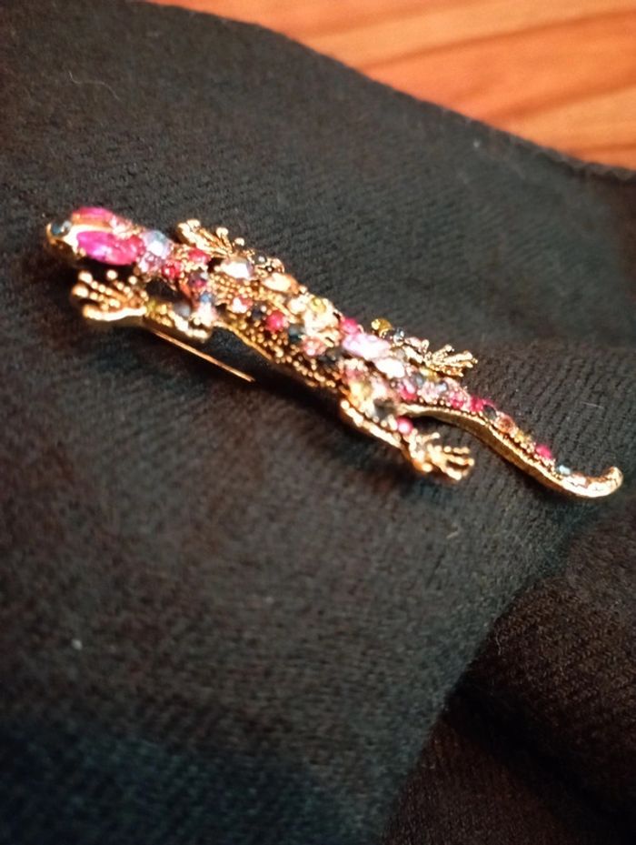 Idée cadeau 🎁: Broche en forme d'iguane - photo numéro 3