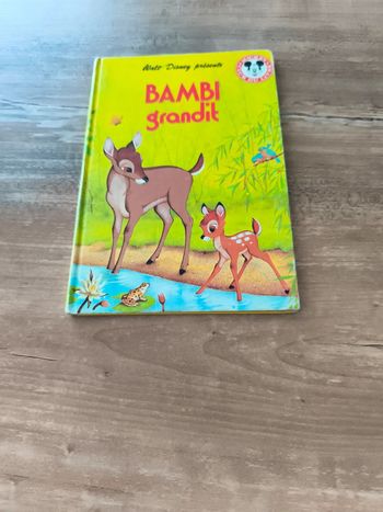 Bambi grandit