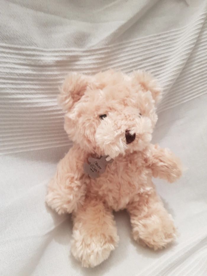 Ourson Histoire d'ours