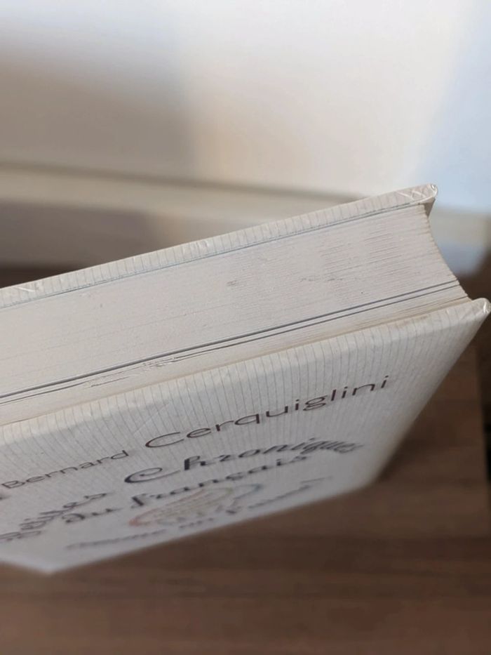 Petites chroniques du français comme on l'aime ! - photo numéro 4