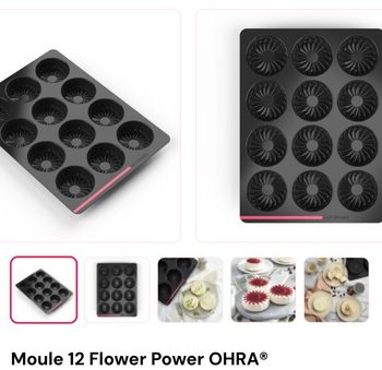 Moules Guy demarle neuf 