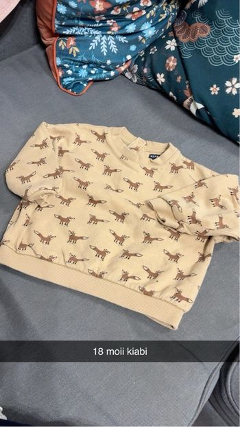 Pull bébé garçon 