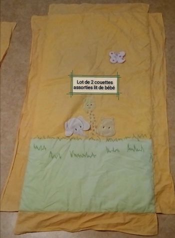 Lot de 2 couettes assorties