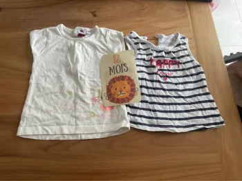 Lot de  12 tee shirt et chemise 12 mois été
