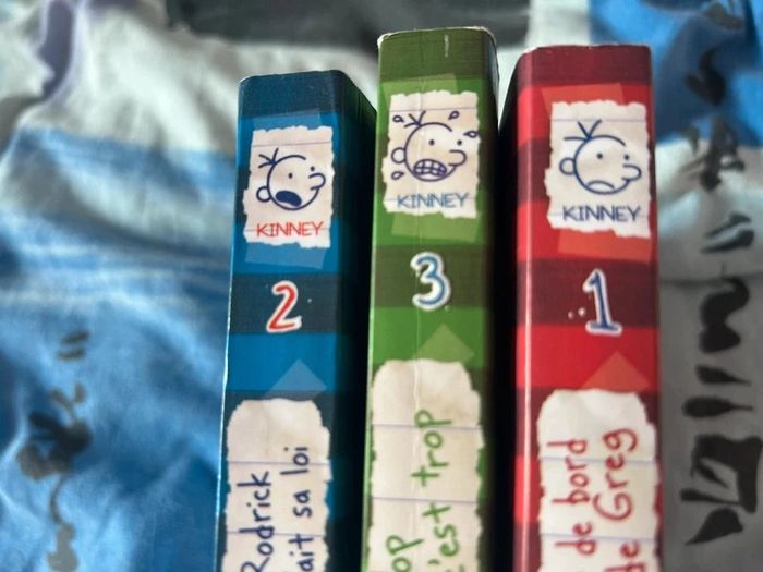 Livre journal d’un dégonflé - photo numéro 3