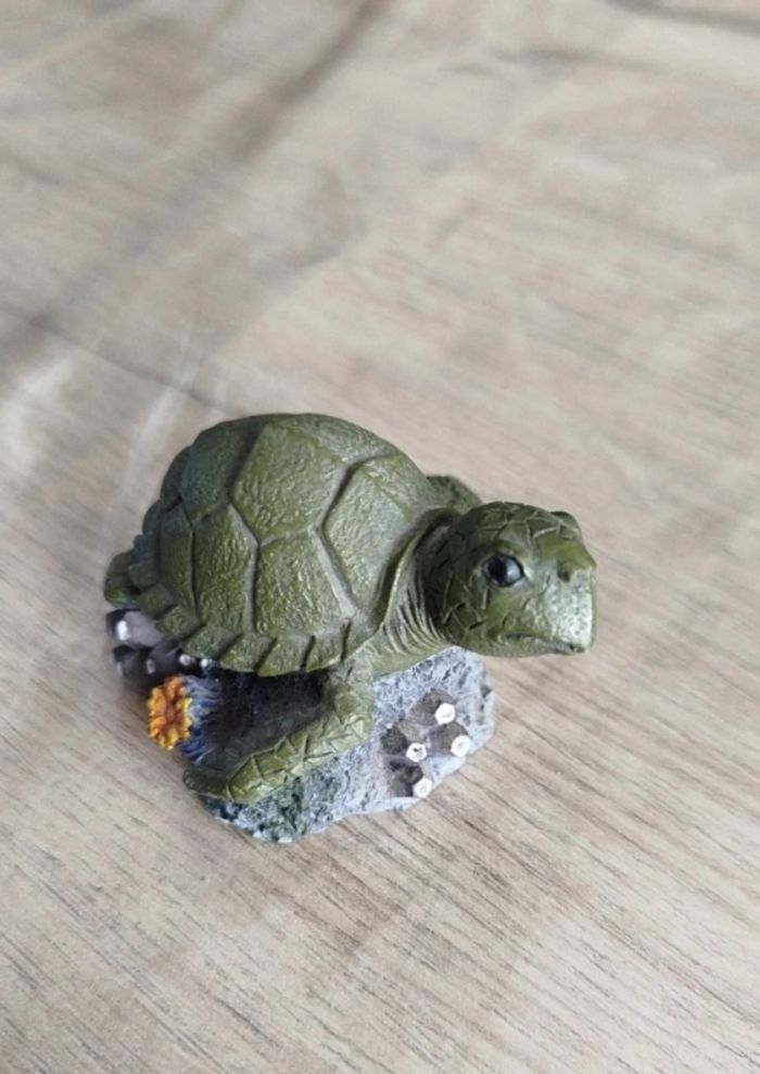 Décos tortue - photo numéro 2