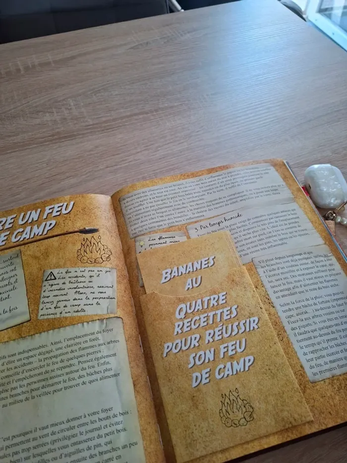 Livre pour garçon Boys book - photo numéro 10