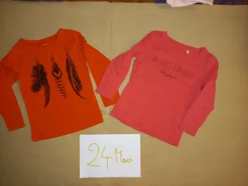 Lot 2 T-shirts ML 24 mois / 2 ans