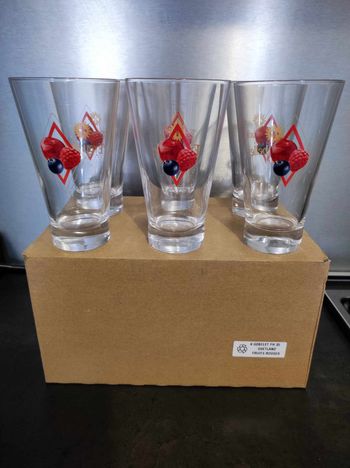 Carton de 6 verres à jus de fruits Eyguebelle 35 cl