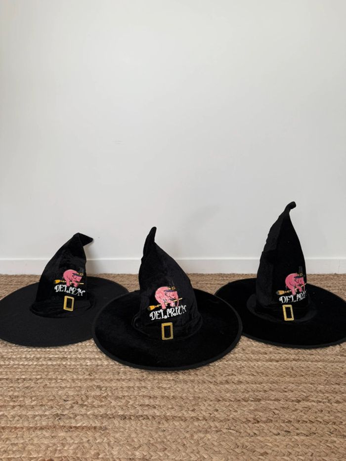Chapeau de sorcière Halloween déguisement décoration collection Collector
