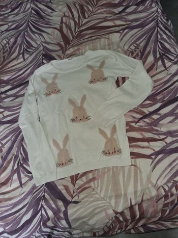 Pull lapin