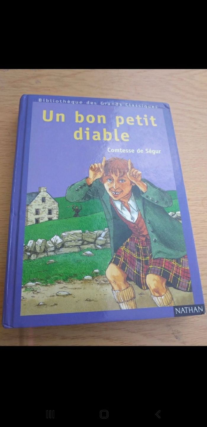 Un bon petit diable