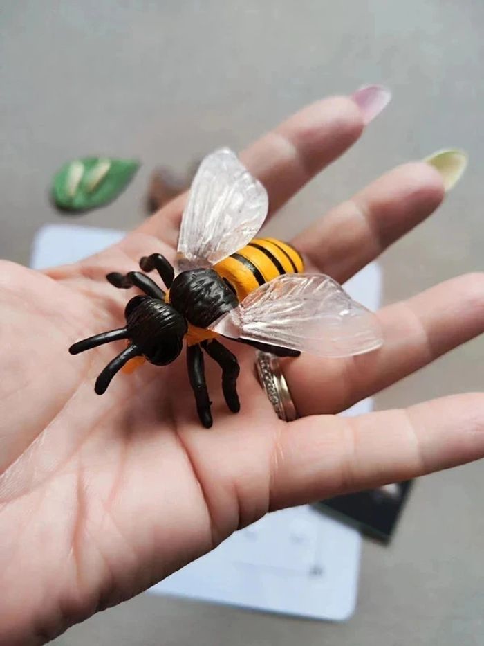 Kit cycle de vie d'une abeille Montessori - photo numéro 6