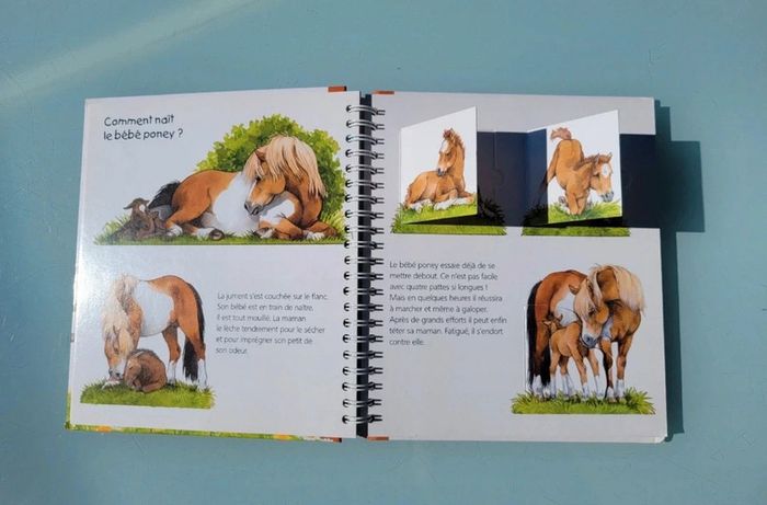 Livre animé à volets Les P'tits Juniors : 🐴 Les Poneys 🧲 35 - photo numéro 6