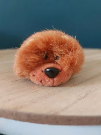 Mini bébé Chow Chow - pound Puppies