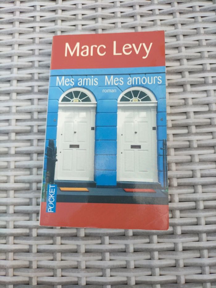 Mes amis Mes amours. Marc Lévy
