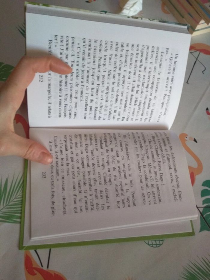 Livre Le Club des Cinq - photo numéro 10