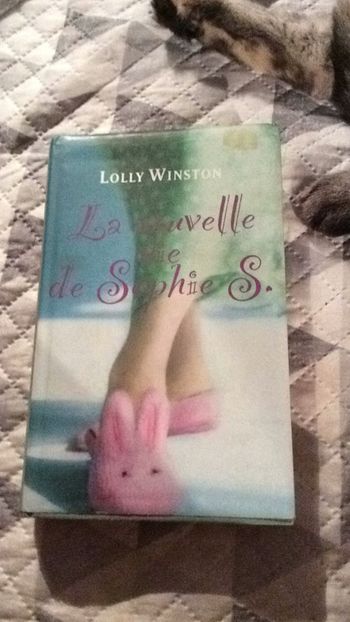 #la nouvelle vie de Sophie S par Lolly Winston