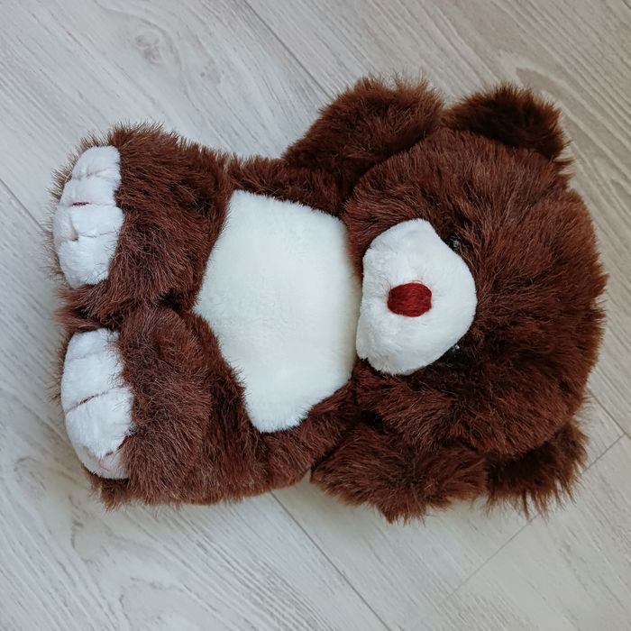 ourson - photo numéro 2