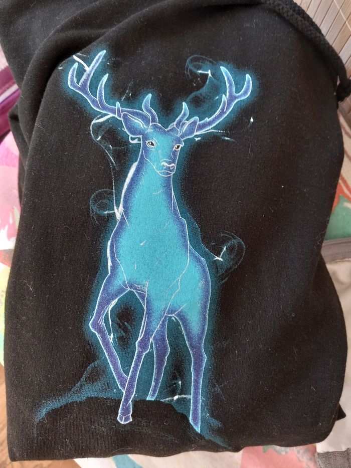 Sweet /pull Harry Pottrr - photo numéro 4