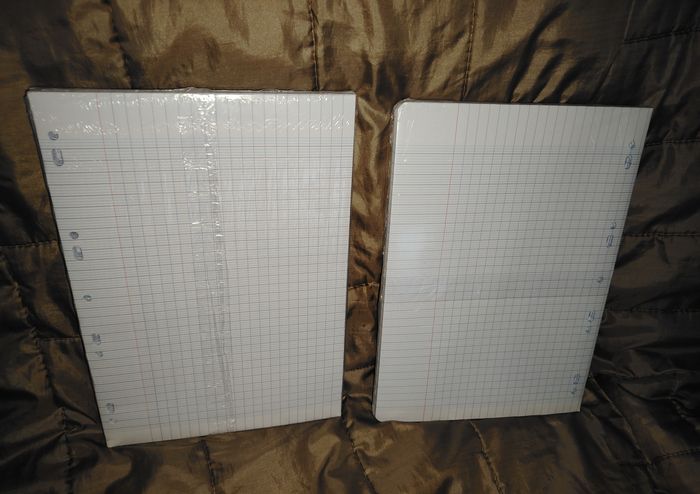 Lot feuilles oxford 300 feuilles simples+ 300 copies doubles - photo numéro 2
