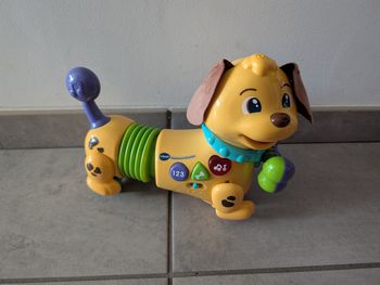 Maxou mon chien filou