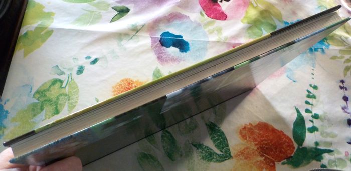 CHIENS DE BERGER Les chiens La grande encyclopédie visuelle - photo numéro 6