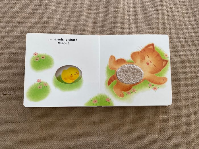 Livre Piou Piou Qui es-tu ? Bayard Jeunesse - photo numéro 4