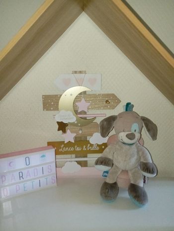 Peluche chien Cyril nattou