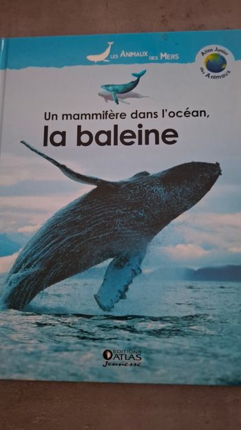 Livre sur les baleines 