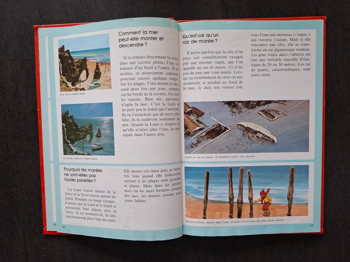 Lot de 2 livres questions/réponses sur les animaux en bon état - photo numéro 3