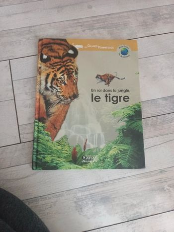 Livre roi de la jungle