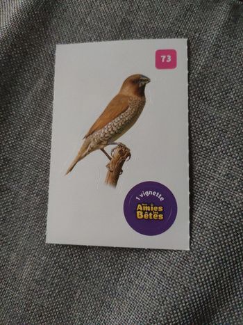 Autocollant nos amies les bêtes