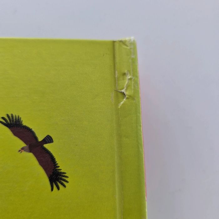 Livre Kididoc des Combien - photo numéro 4