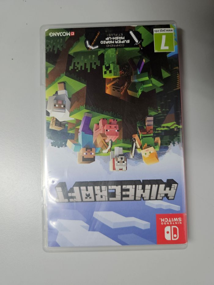 Jeu minecraft