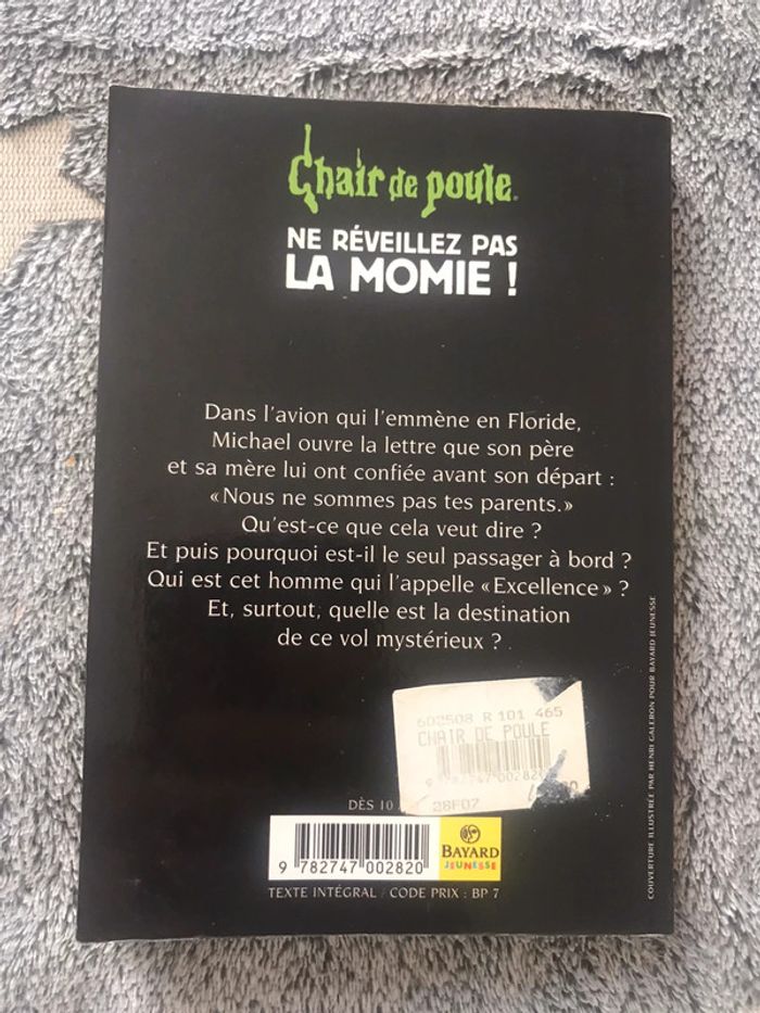 Chair de poule - photo numéro 2