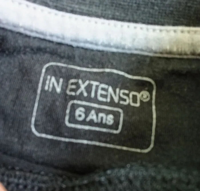 T-shirt manche longue garçon ⭐ très bon état ⭐ Taille 6 ans ⭐ in extenso - photo numéro 2