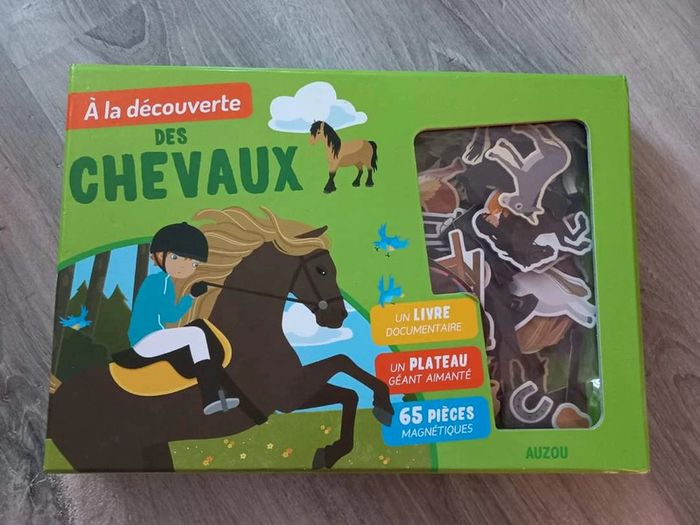Jeu 'A la découverte des chevaux'