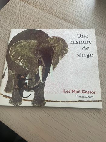 Une histoire de singe