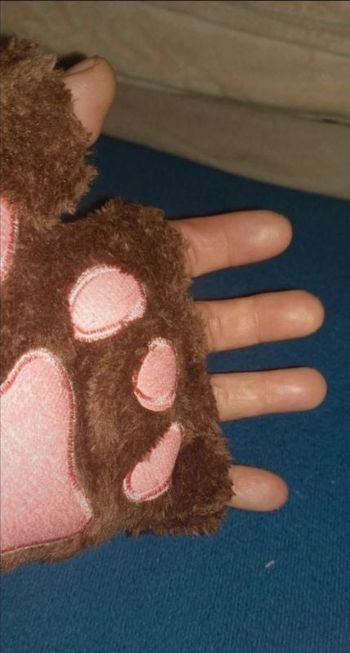 Gants mitaines pattes de chat chien ours