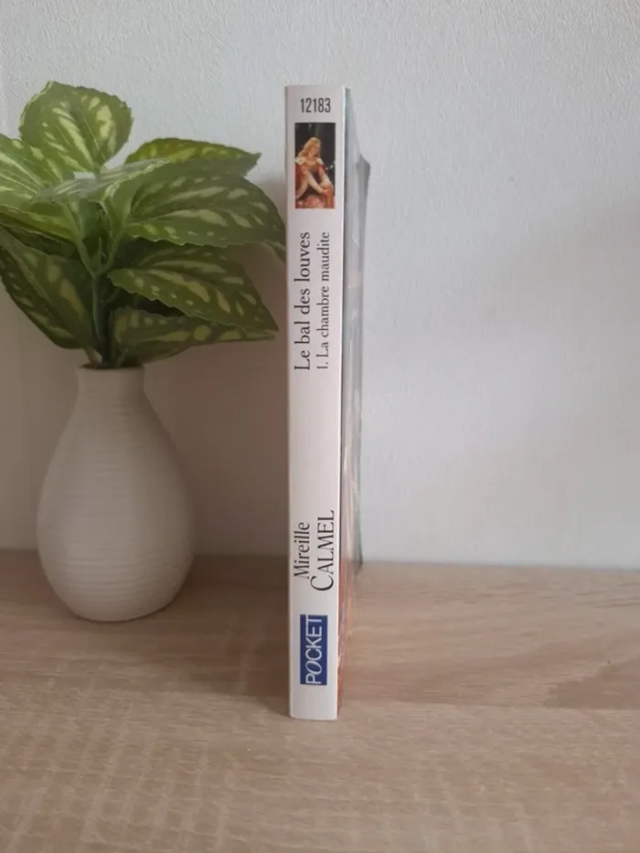 Livre / Le bal des louves tome 1 - photo numéro 3