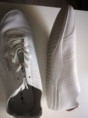 Tennis Lacoste